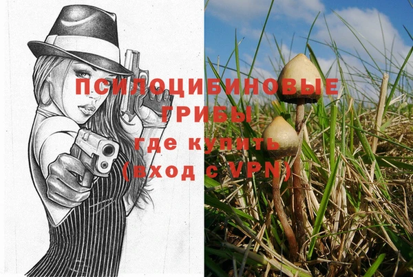дурь Алзамай