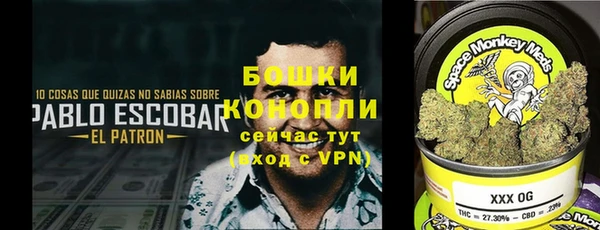 стафф Абдулино